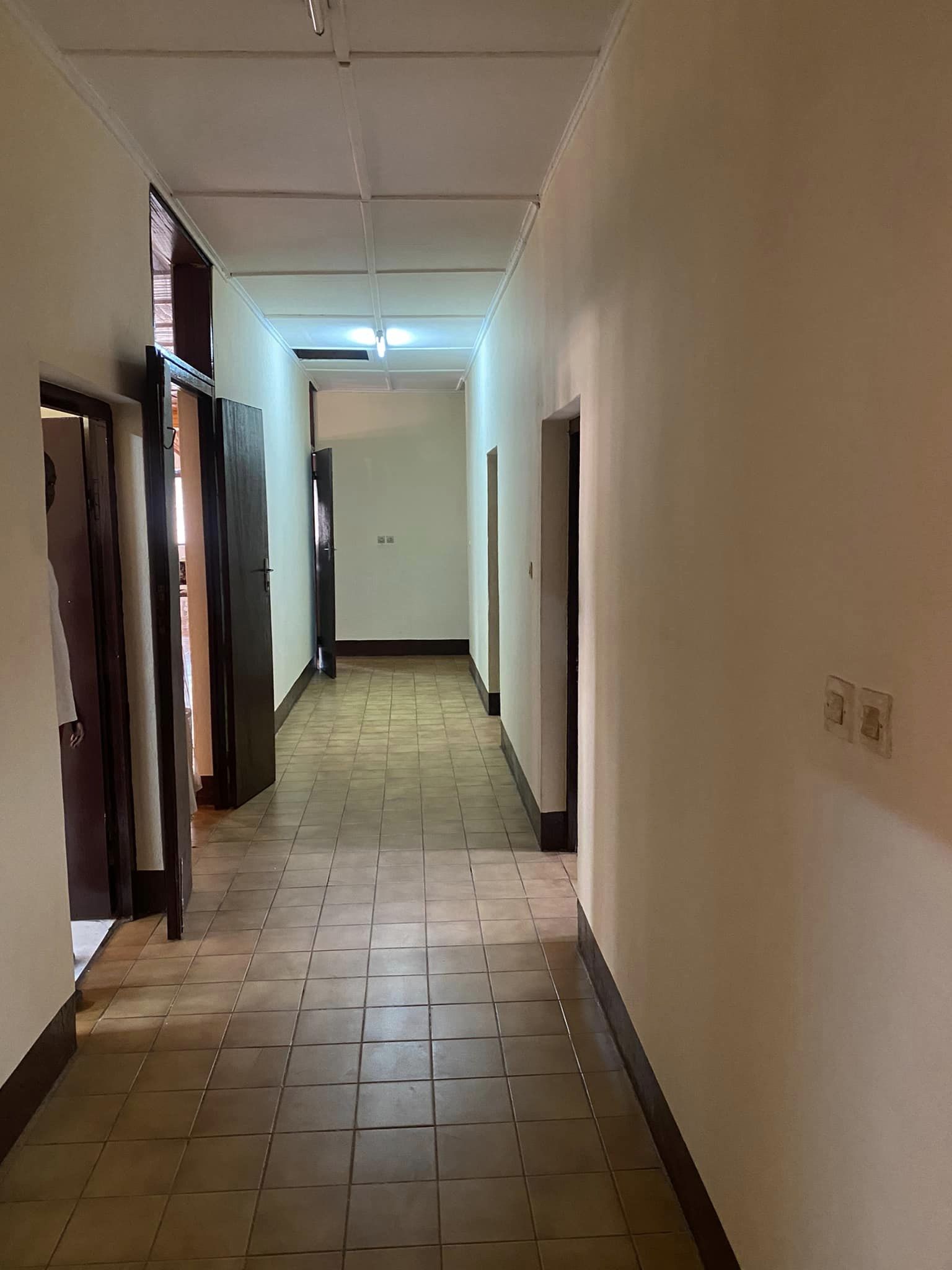 331285092_738045251256009_336368359225069992_n