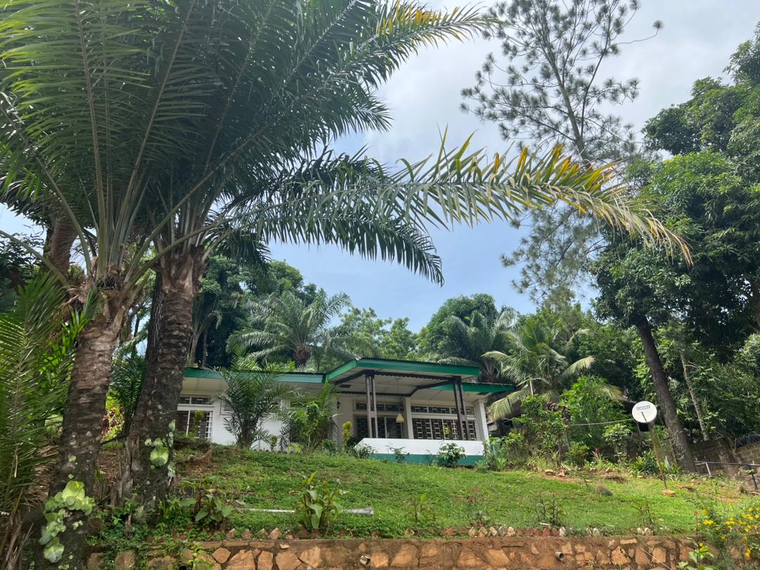 7e395ac4-3251-491c-bdd2-fda64778313f