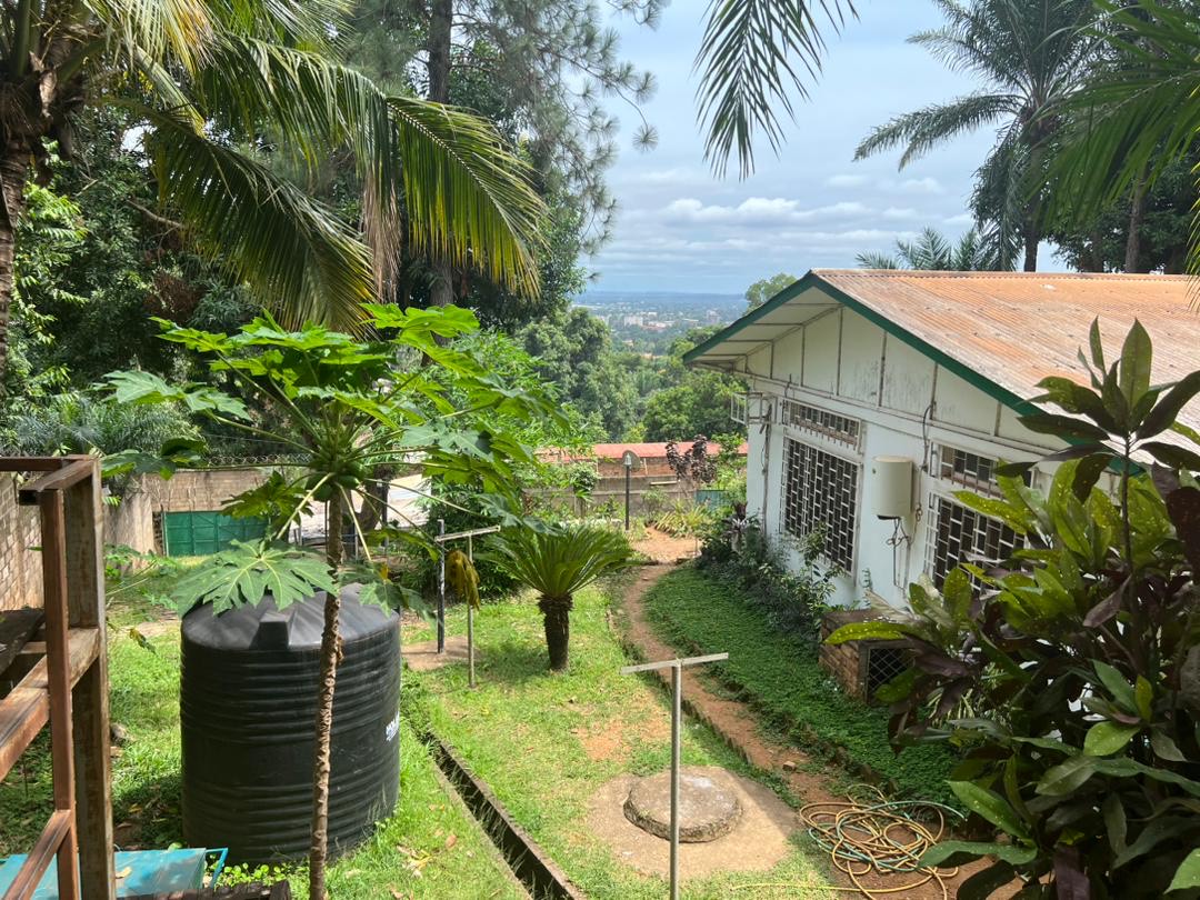 exterieur vue sur le coté