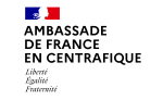 logo-ambassade-de-france-rca